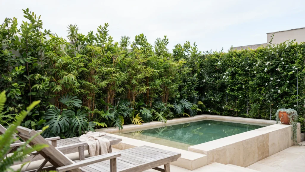 5. Create a Green Privacy Wall